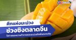 โอกาสและความท้าทายของมะม่วงไทยในตลาดจีน