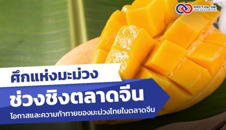 โอกาสและความท้าทายของมะม่วงไทยในตลาดจีน